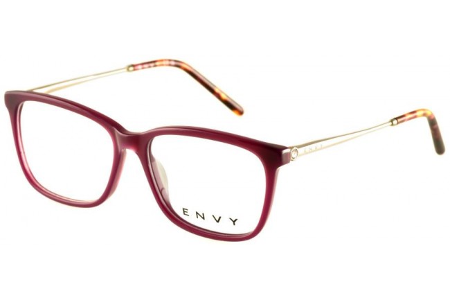 ENVY 6396 FRAMES/C5